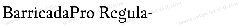 BarricadaPro Regula字体转换